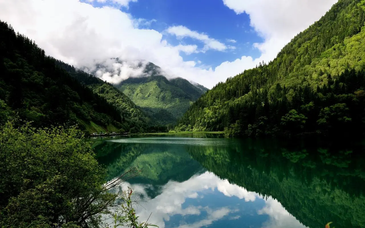 稳定性高标准
